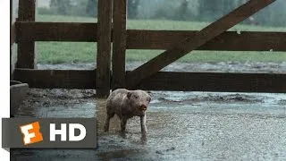 Charlotte's Web (2/10) Movie CLIP - Wilbur Plays in the Mud (2006) HD