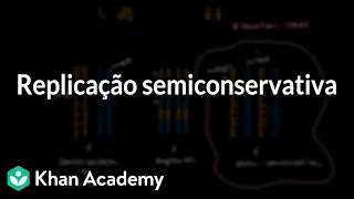 Replicação semiconservativa