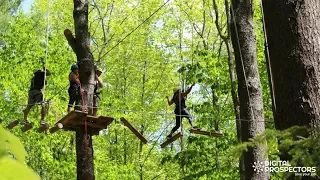 Team Building at Alnoba's Ropes Course