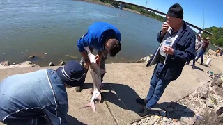 ОХОТА ЗА ЧЕРНОЙ ИКРОЙ | Рыбалка в США | Рыба ЛОПАТА