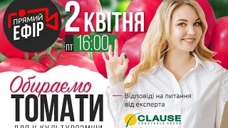 🍅Томати закритого ґрунту для другої культурозміни🍅