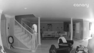 Ghost in my living room? Caught by my Canary