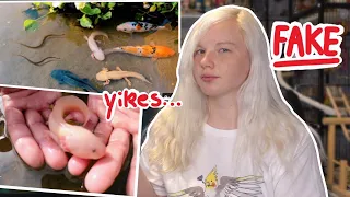 Bizarre Fake Axolotl Catching Videos on Youtube