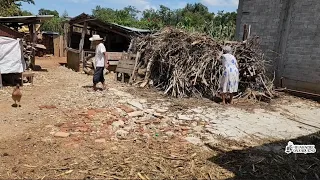 "A mi esposo le dieron v3n3n0 😔"|Tía Felicita