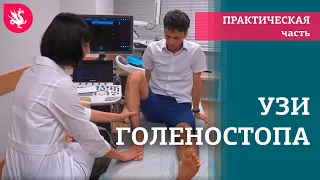 УЗИ голеностопного сустава: техника сканирования