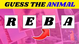 Guess the Animal Scrambled Name | Guess the animal name challenge | Animal Quiz