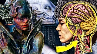 8 Mind-Bending Mysteries Of Xenomorph Anatomy Unraveled - Reproduction To Origin Everything Explored