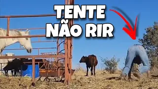 TENTE NÃO RIR: OS MELHORES VÍDEOS DA INTERNET #comedia #tentenaorir #videosengraçados #viral #tiktok