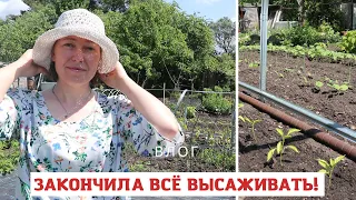 Атака улиток, высадка рассады, прополка... Всё как вы любите :)