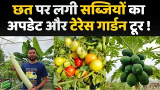 छत पर लगी सब्जियों का अपडेट और टेरेस गार्डन टूर | Terrace Garden Me Lagi Sabjiyon Ka Update & Tour