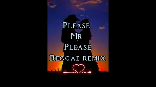 Please Mr please reggae remix