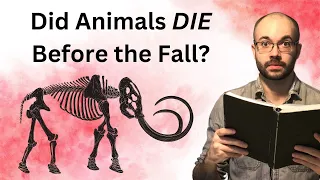 Crisis in Creationism: Was There Animal Death Before Sin?