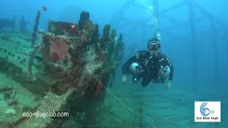 Diving in Maafushi, Maldives with Eco Dive Club -Kuda Giri Wreck