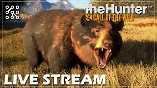 Po stopách GO - lov DIA medvěda na Silveru | The Hunter: Call of the wild CZ  | Lets play | Česky