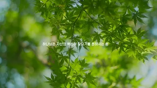 참된 예배의 회복을 위하여 - 다니엘김 목사(선교사) 설교 , Suffering and Glory - 아미김 교수님