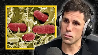 SUPERBACTERIAS: ¡Estamos En Grave Peligro!