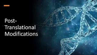 Post Translational Modifications