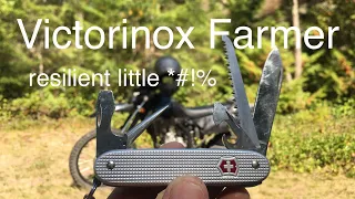Victorinox Farmer- a resilient little knife that just keeps giving