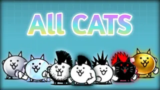 All "CATS" Review