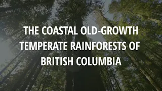 The Old-Growth Coastal Temperate Rainforests of British Columbia (Closed Captioned)