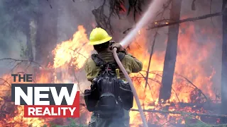 On the Fireline: Inside Canada’s record-breaking wildfire season