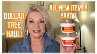 DOLLAR TREE HAUL | ALL NEW ITEMS | Part 1 | FANTASTIC FINDS | I Love The DT 🥰