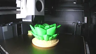 3d Print Timelapse - Plant 1