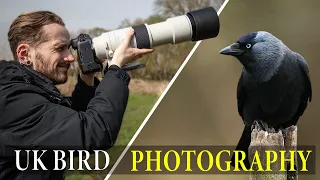 A Day Down My FAVOURITE Nature Reserve | UK Bird Photography