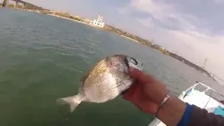 PECHE A MARTIGUES A LA DORADE LE 22 MARS 2016