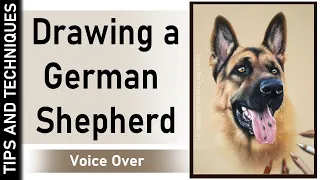 HOW TO DRAW A GERMAN SHEPHERD IN PASTELS | DRAWING FUR | TIPS & TECHNIQUES