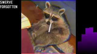depressed high - sad phonk mix (recovered from raccoon mixtapes)