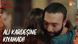 Ali, Sultan'ı her şeye rağmen affetti! - Ateş Kuşları 54. Bölüm FİNAL