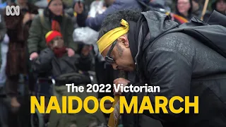 What does this year's NAIDOC theme mean to you? Get up, Stand up, Show up ❤️💛🖤 | ABC Australia
