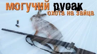 Охота на зайца. Могучий русак