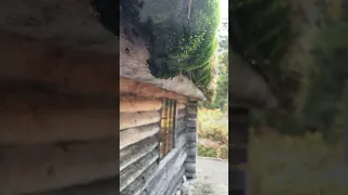 The Proenneke Cabin in Lake Clark National Park