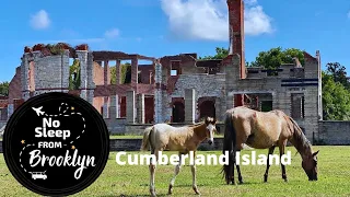 Cumberland Island, Georgia - Wild Horses, Ruins & Unspoiled Beaches - National Park seashore