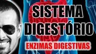 Sistema Digestório - Enzimas digestivas e processos químicos da digestão - Anatomia - VideoAula 026