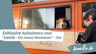 Exklusive Aufnahmen vom "Lassie - Ein neues Abenteuer" -Set: Tiertrainerin Renate Hiltl im Interview