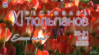 XI Tulip festival on Elagin island (2023)