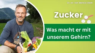 🍬 Was macht Zucker mit unserem Gehirn? Dr. rer. nat. Markus Stark erklärt