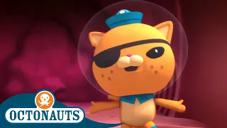 Octonauts - Inside a Whale Shark | Cartoons for Kids | Underwater Sea Education