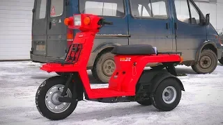 Обзор грузового скутера Honda Gyro X (ХОНДА ГУРО Х)