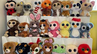 My Solid Eye Beanie Boo Collection