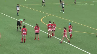 Ladies U12 -  Island Lions vs Peninsula Dragons