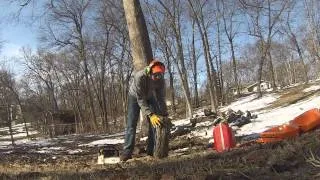 Stihl MS250 Cutting up Firewood