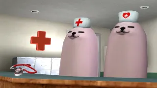 eggdog hospital