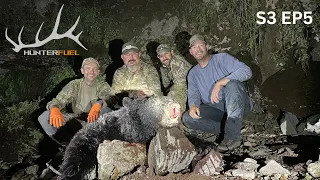 2 BEARS DOWN!!! ARIZONA PUBLIC LAND BLACK BEAR HUNTING