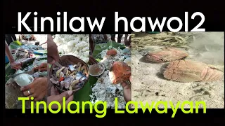 Tinolang kubaw, Lawayan ug kinilaw na hawol2