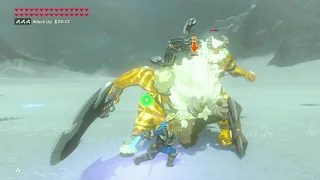 Zelda Botw - No Damage Two Gold Lynels at once