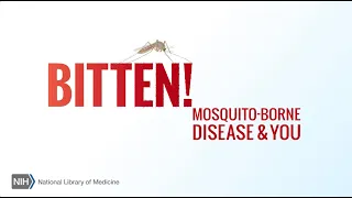 Bitten! Mosquito-Borne Disease & You